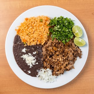 Birria Plate
